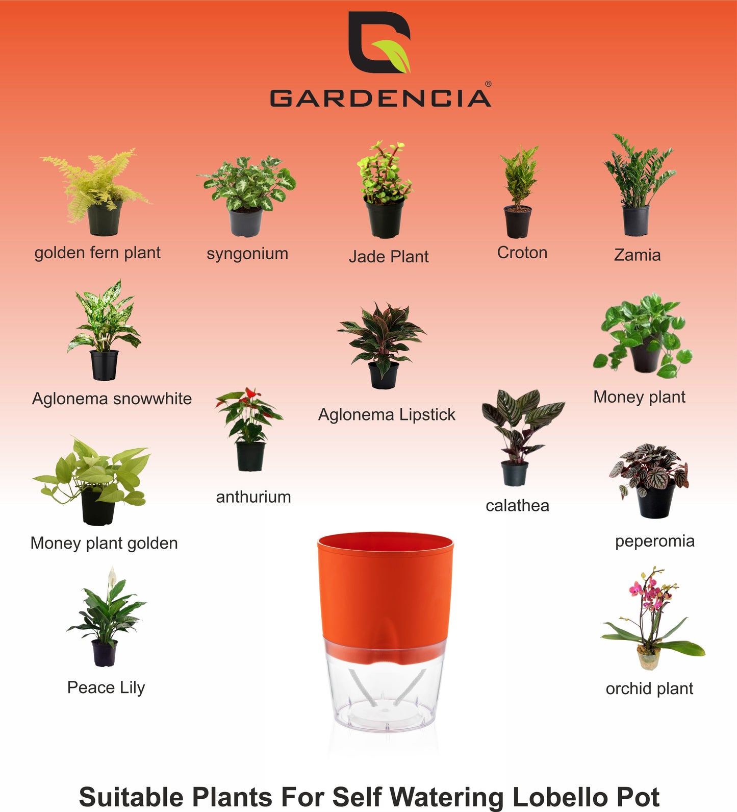 Gardencia Lobello 4/6/8 Inch Self Watering Plastic Flower Pot Cotton Rope Watering Small Plant Pot - Indoor Planters for Home Decor, Living Room, Kitchen, Bedroom, Office Desk, Gifting - Plants Not Included
