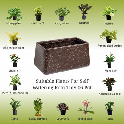 GARDENCIA Roto Tiny 06 Self Watering Rectangular Pot 11"