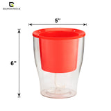 GARDENCIA Clear Self Watering Pot 6 Inch – Transparent Plastic Planter for Indoor Plants, Succulents, Herbs & Flowers – Durable Pot with Water Reservoir & Drainage Hole