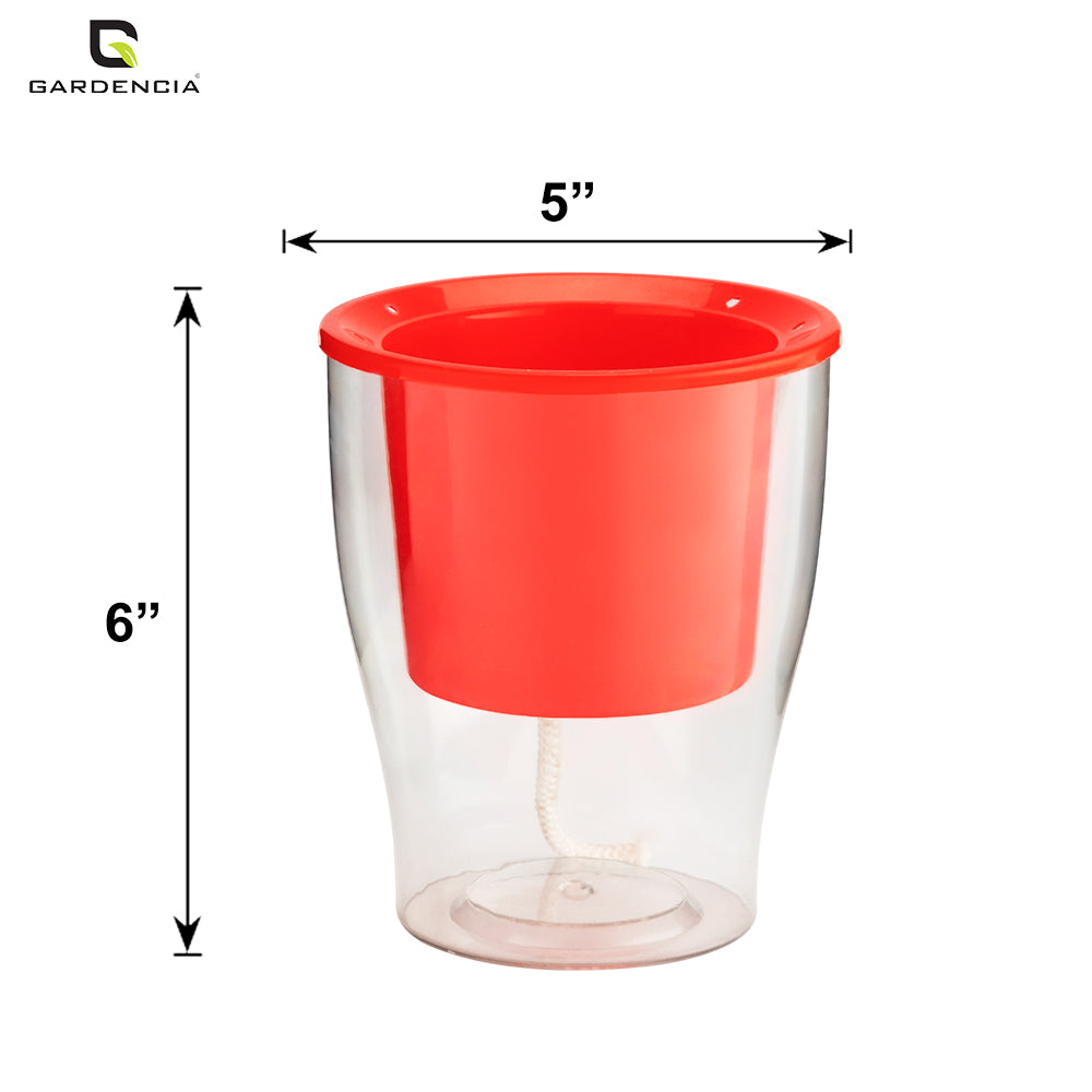 GARDENCIA Clear Self Watering Pot 6 Inch – Transparent Plastic Planter for Indoor Plants, Succulents, Herbs & Flowers – Durable Pot with Water Reservoir & Drainage Hole