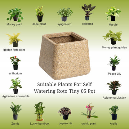 GARDENCIA Roto Tiny 05 Self Watering Square Planter Pot 6"