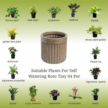 GARDENCIA Roto Tiny 04 Round Self Watering Planter Pot 6"