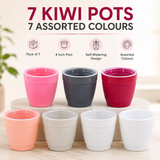 Kiwi Pot