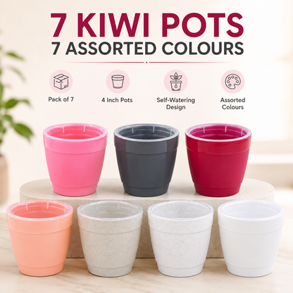 Kiwi Pot