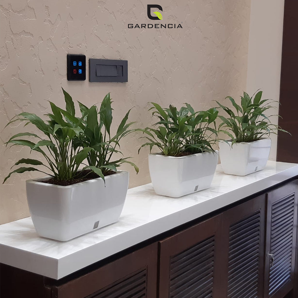 GARDENCIA Recta Self Watering Rectangle 100% Virgin Plastic Pots for Plants | Modern Design | Indoor and Outdoor Flower Pot for Home/Office/Table/Garden/Balcony Decoration | 14 inch
