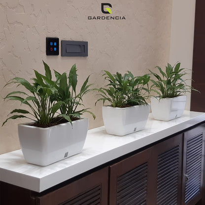 GARDENCIA Recta Self Watering Rectangle 100% Virgin Plastic Pots for Plants | Modern Design | Indoor and Outdoor Flower Pot for Home/Office/Table/Garden/Balcony Decoration | 14 inch