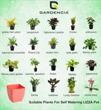 GARDENCIA Self Watering Flower Pot Lizza with Inner Tray, Plastic Planter, Lightweight, 15x15x18 cm, Pack of 7