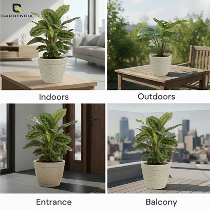 GARDENCIA ROTO Candy 9/11/13" Morden Round Planter Pot