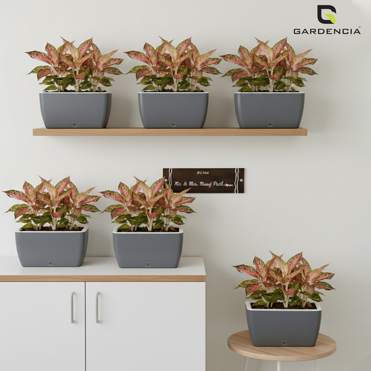 GARDENCIA Recta Self Watering Rectangle 100% Virgin Plastic Pots for Plants | Modern Design | Indoor and Outdoor Flower Pot for Home/Office/Table/Garden/Balcony Decoration | 14 inch