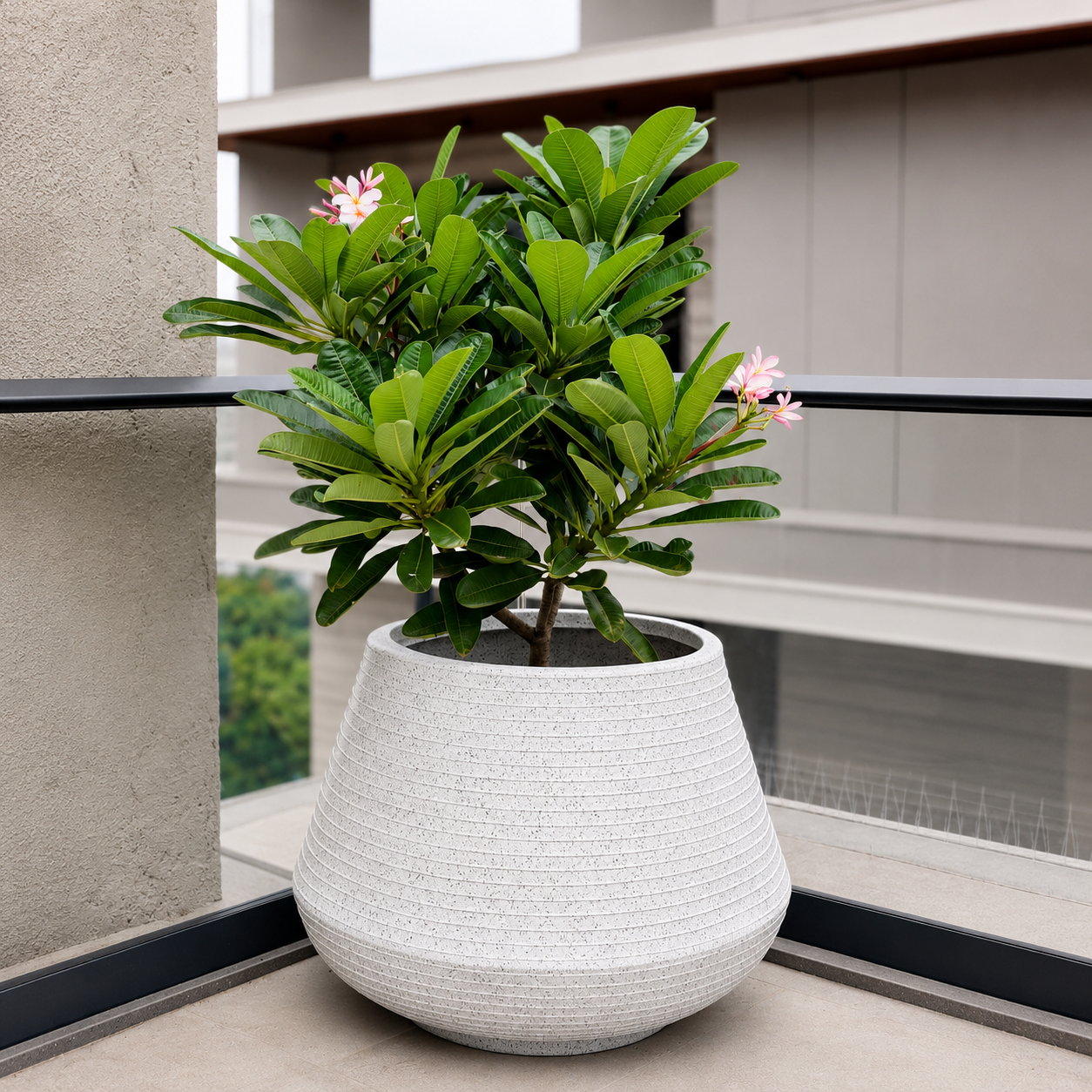 Roto Luca Pot Small