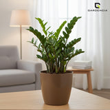 Vistara Self Watering Pot