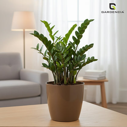 Vistara Self Watering Pot