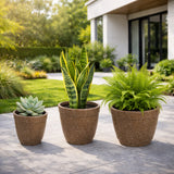 GARDENCIA Roto Candy Pot Combo - 9"x8"/ 11"X10" / 13"X10"  Round Planter Pot with Drainage Plug, UV Resistant, Lightweight Pot for Indoor & Outdoor Gardening wit Dot Finish Colour Planter for Home, Garden, Balcony, Patio & Terrace