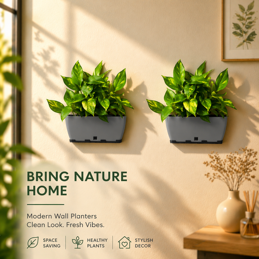 Recta Big with Wall Stand