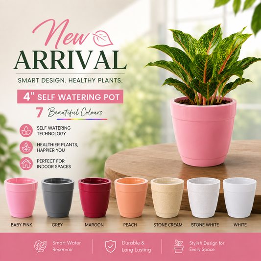 Kiwi Pot