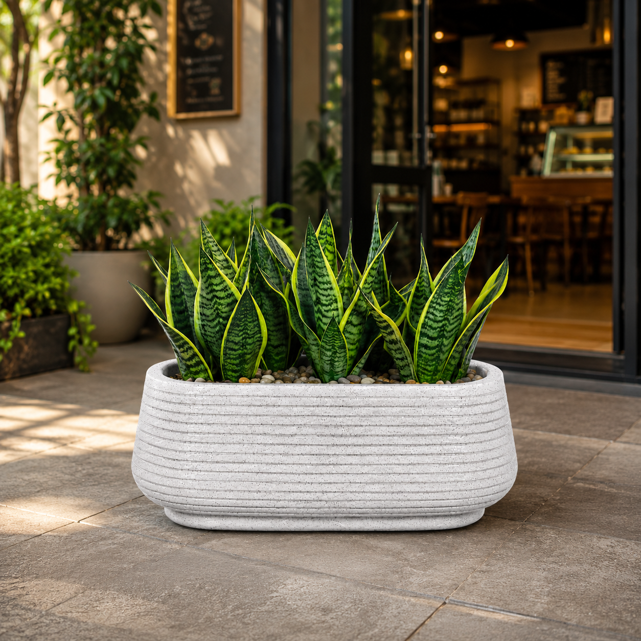 Roto Remo tray
