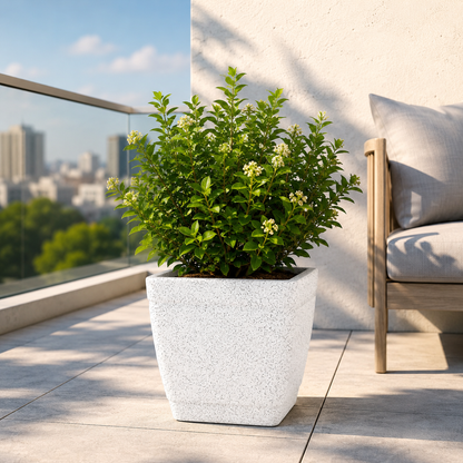 GARDENCIA ROTO DOVE – Square Planter with Dot Finish Colour