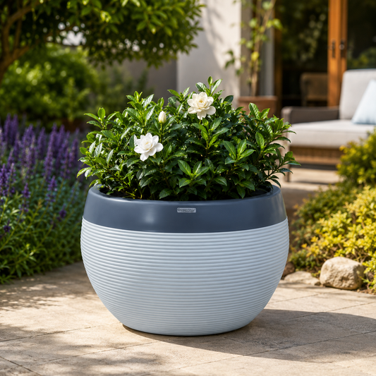 GARDENCIA FRP 004 Premium FRP Round Planter, Planters for Home Decor, Indoor Plant Pot, Flower Pot for Living Room, Outdoor Flower Pots for Garden