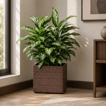 GARDENCIA ROTO SQUARE Pot Combo – Square Planter with Dot Finish Colour | Non-Breakable & Light Weight Outdoor & Indoor Flower Pot | Heavy-Duty Large Plant Container for Big House, Patio, Garden & Balcony