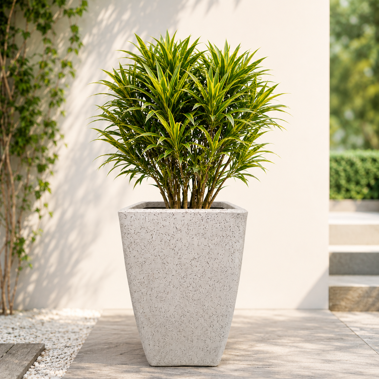 GARDENCIA ROTO MOCHA Pot – Long Square Planter with Dot Finish Colour | Non-Breakable & Light Weight Outdoor & Indoor Flower Pot | Heavy-Duty Large Plant Container for Big House, Patio, Garden & Balcony