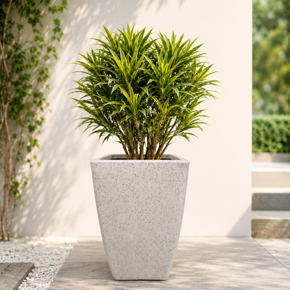 GARDENCIA ROTO MOCHA Pot – Long Square Planter with Dot Finish Colour | Non-Breakable & Light Weight Outdoor & Indoor Flower Pot | Heavy-Duty Large Plant Container for Big House, Patio, Garden & Balcony