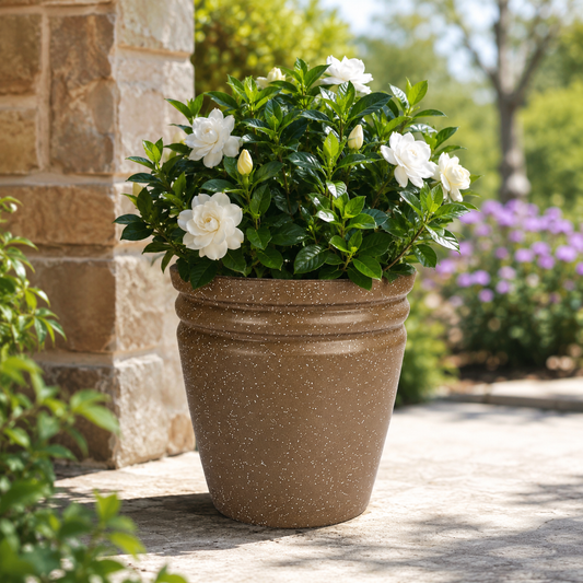 GARDENCIA ROTO RCD Round Shape Pots for Plants Highly Durable Polymers Lightweight Indoor Outdoor Flower Pot Tree Planter Container Planters for Living Room, Balcony, Garden, Office