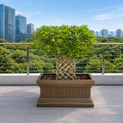 Gardencia Roto Vintage 02 Self Watering Rectangle Pots for Plants Highly Durable Polymers Lightweight Indoor Outdoor Flower Pot Tree Planter Container Planters for Living Balcony Garden, Terrace Garden