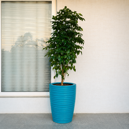 GARDENCIA VIVA 25 Inch Long Round Planter Pot | Blow Molded Flower Pot for Indoor & Outdoor Plants | Lightweight Heavy Duty Garden Pot | Weather Resistant Decorative Planter for Home Garden & Terrace Garden
