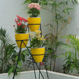 Convex with Smart Tray