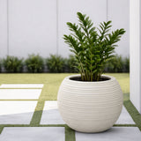 GARDENCIA JUPITER BIG 16 Inch Round(Matka) Planter Pot | Blow Molded Flower Pot for Indoor & Outdoor Plants | Lightweight Heavy Duty Garden Pot | Weather Resistant Decorative Planter for Home Garden & Terrace Garden