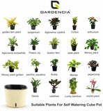 Gardencia Cube 6/12" Self Watering Square Pot