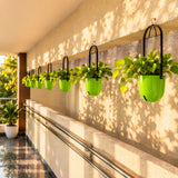 Sphere Hanging Pot
