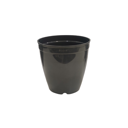 Eco Pots