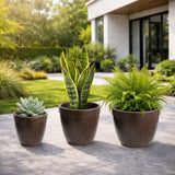 GARDENCIA Roto Candy Pot Combo - 9"x8"/ 11"X10" / 13"X10"  Round Planter Pot with Drainage Plug, UV Resistant, Lightweight Pot for Indoor & Outdoor Gardening wit Dot Finish Colour Planter for Home, Garden, Balcony, Patio & Terrace