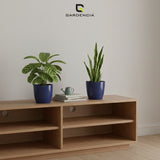 Vistara Self Watering Pot