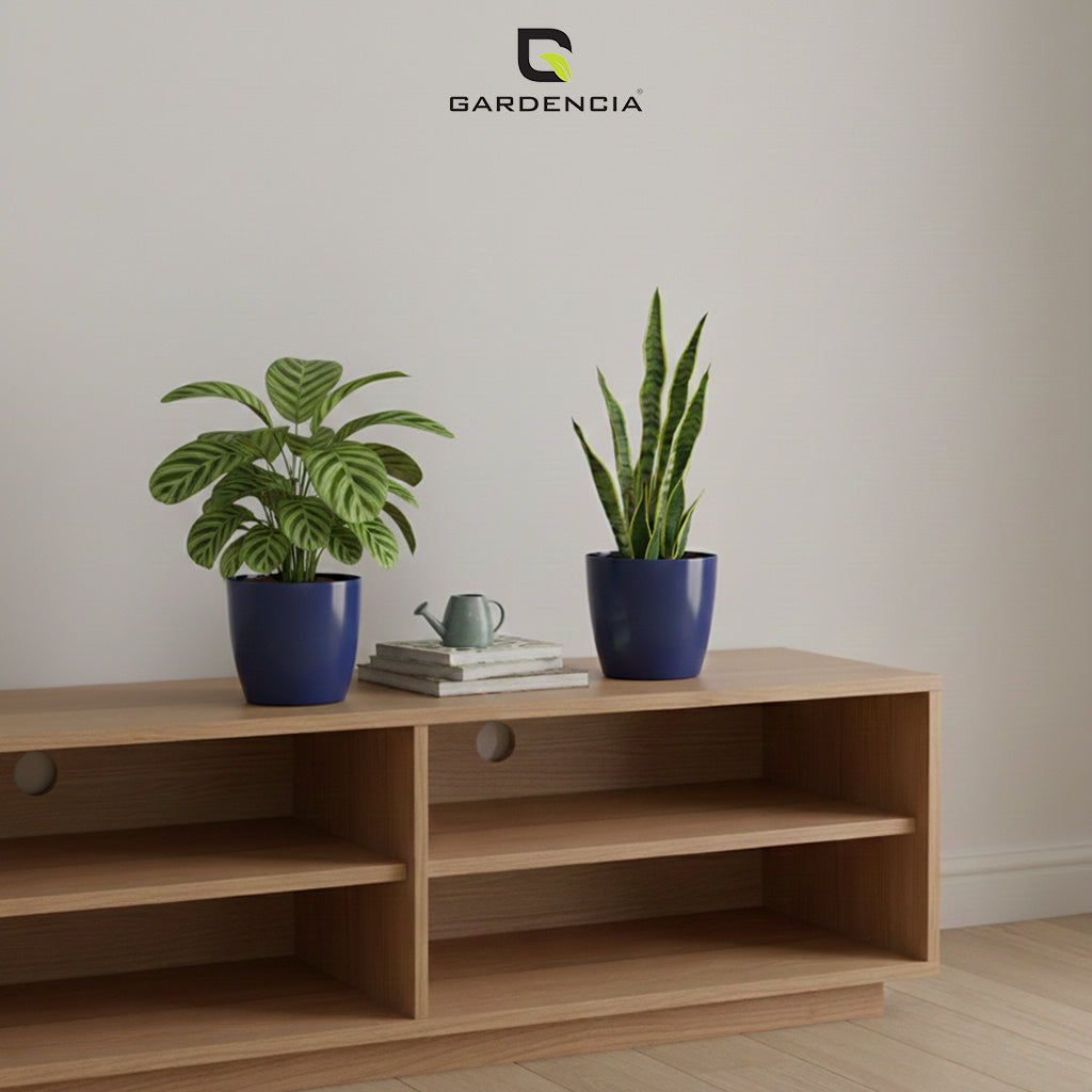 Vistara Self Watering Pot