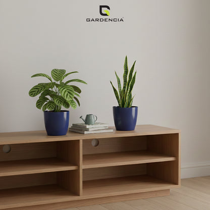 Vistara Self Watering Pot