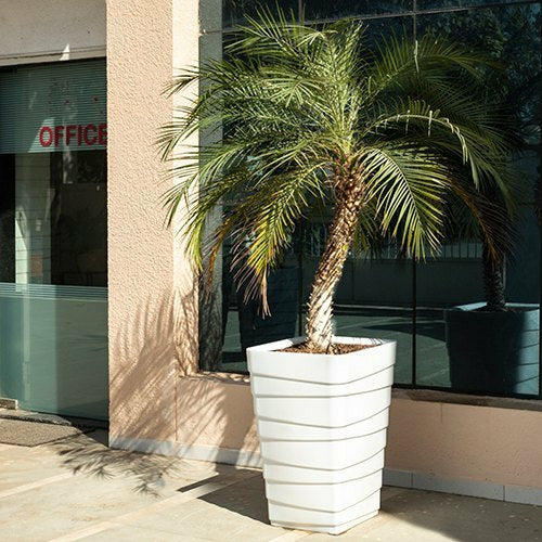 GARDENCIA B ZIGZAG 28 Inch Long Square Planter Pot | Blow Molded Flower Pot for Indoor & Outdoor Plants | Lightweight Heavy Duty Garden Pot | Weather Resistant Decorative Planter for Home Garden & Terrace Garden