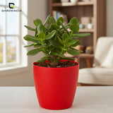 Vistara Self Watering Pot