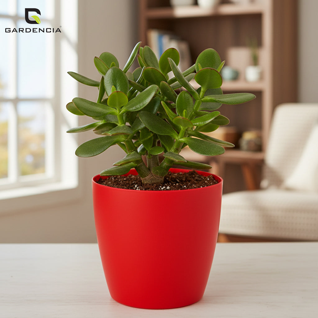 Vistara Self Watering Pot