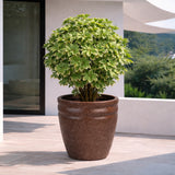 GARDENCIA ROTO RCD Round Shape Pots for Plants Highly Durable Polymers Lightweight Indoor Outdoor Flower Pot Tree Planter Container Planters for Living Room, Balcony, Garden, Office