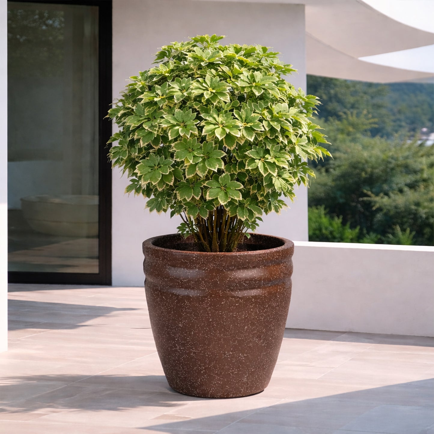 GARDENCIA ROTO RCD Round Shape Pots for Plants Highly Durable Polymers Lightweight Indoor Outdoor Flower Pot Tree Planter Container Planters for Living Room, Balcony, Garden, Office