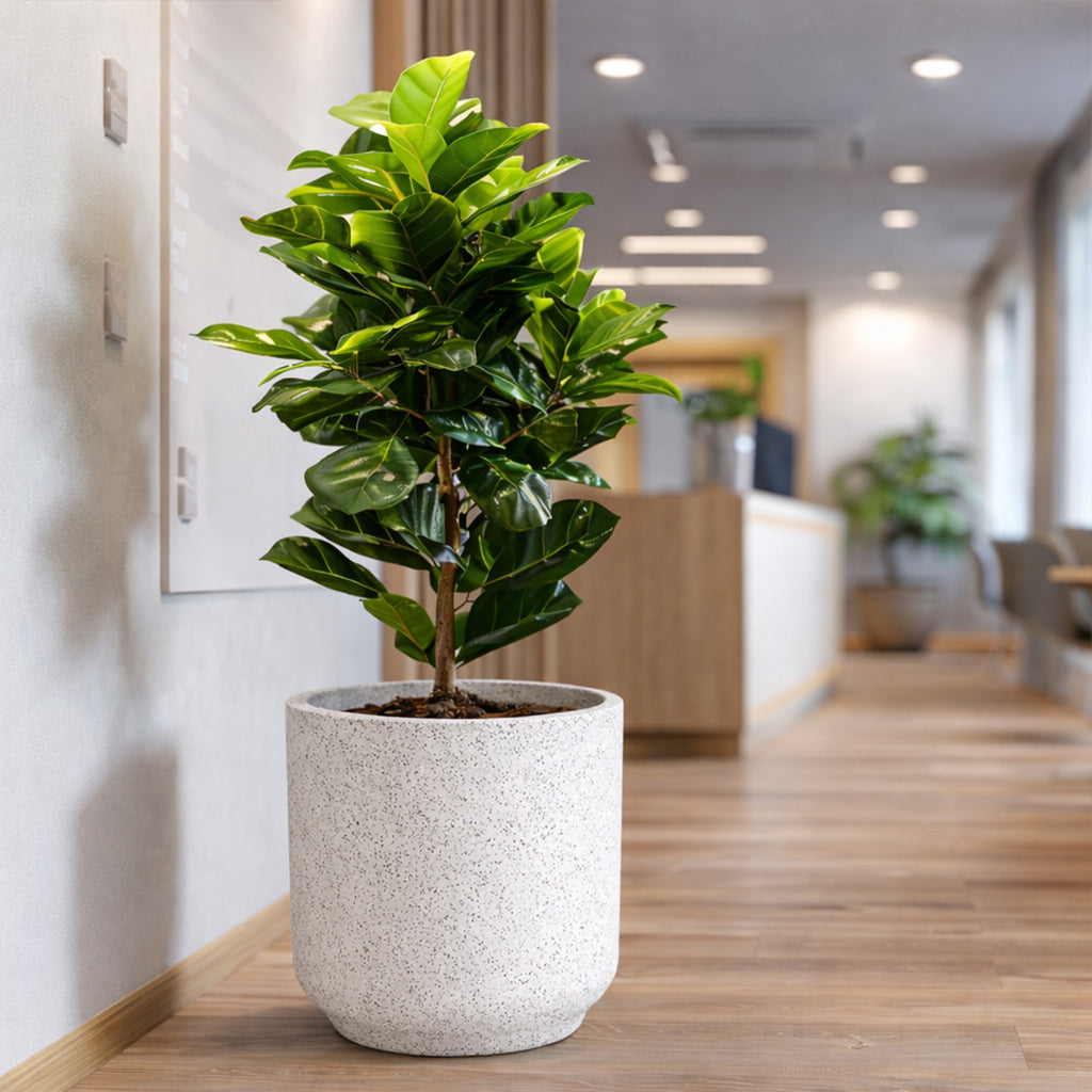 GARDENCIA Roto RS Round Planter with Dot Finish Colour