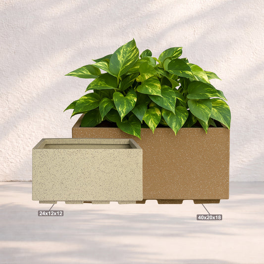 Roto Box Tray