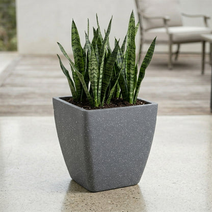 GARDENCIA ROTO DOVE – Square Planter with Dot Finish Colour