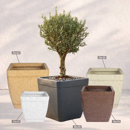 GARDENCIA ROTO DOVE – Square Planter with Dot Finish Colour