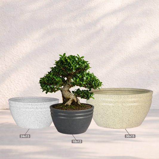 Roto RCD Bowl