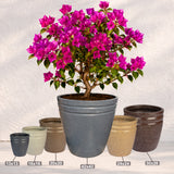 GARDENCIA ROTO RCD Round Shape Pots for Plants Highly Durable Polymers Lightweight Indoor Outdoor Flower Pot Tree Planter Container Planters for Living Room, Balcony, Garden, Office