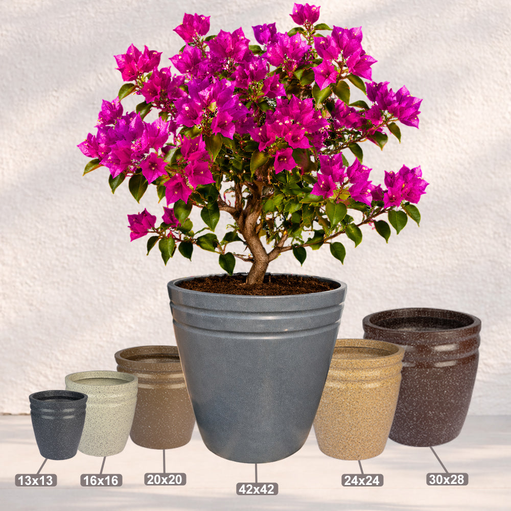 GARDENCIA ROTO RCD Round Shape Pots for Plants Highly Durable Polymers Lightweight Indoor Outdoor Flower Pot Tree Planter Container Planters for Living Room, Balcony, Garden, Office