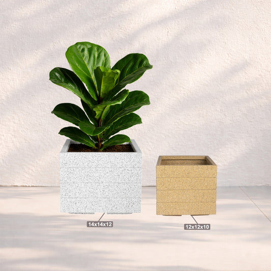 Roto Square Pot